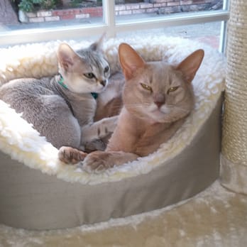 Terry's Loving Care - Nina & CeCe - Pet Sitting Near Me Terry's Loving Care - Nina & CeCe - Pet Sitting Near Me