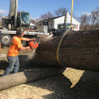 Pridemark Tree Services - Gutter Services Near Me
