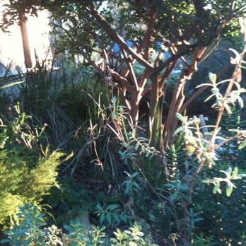 Plantplay Gardens - Nurseries & Gardening Near Me - Oceanside, California Plantplay Gardens - Nurseries & Gardening Near Me - Oceanside, California