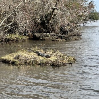 Adventures of Jean Lafitte - Boat Tours Near Me - Lafitte, Louisiana Adventures of Jean Lafitte - Boat Tours Near Me - Lafitte, Louisiana