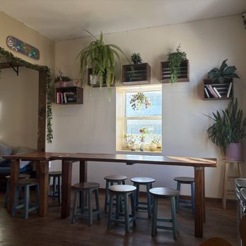 Samesun Venice Beach - Lounge - Hostels Near Me - Venice, California Samesun Venice Beach - Lounge - Hostels Near Me - Venice, California