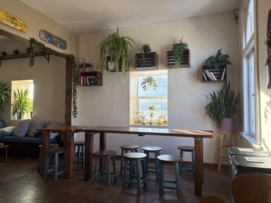 Samesun Venice Beach by null