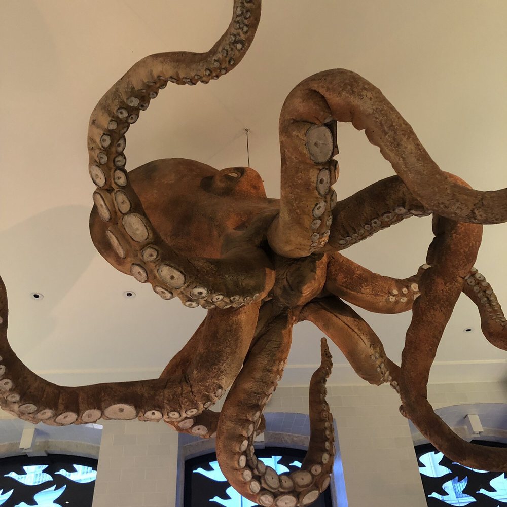 A Cevicheria - Gastropubs Near Me - Lisbon, 11