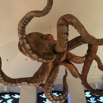 A Cevicheria - Gastropubs Near Me - Lisbon, 11 A Cevicheria - Gastropubs Near Me - Lisbon, 11