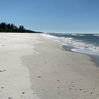 Pure Florida - We had pretty much a private beach experience. - Boat Charters Near Me - Naples, Florida Pure Florida - We had pretty much a private beach experience. - Boat Charters Near Me - Naples, Florida