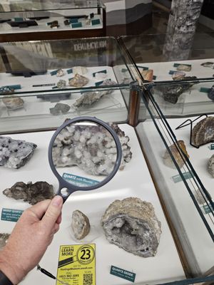 Hastings Museum by null