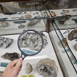 Hastings Museum
