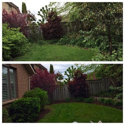 D'vine Landscaping