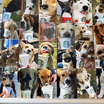 Starbucks - So adorable!! - Coffee & Tea Near Me - San Carlos, California Starbucks - So adorable!! - Coffee & Tea Near Me - San Carlos, California