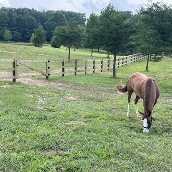 Evergreen Landscaping - Landscaping Near Me - McMinnville, Tennessee Evergreen Landscaping - Landscaping Near Me - McMinnville, Tennessee