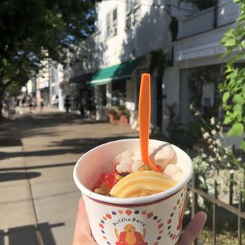 Buddhaberry - Ice Cream & Frozen Yogurt Near Me - Sag Harbor, New York