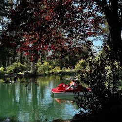 Blue Heron Lake
