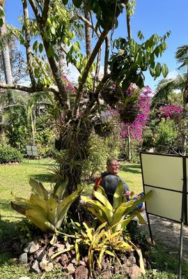 Vallarta Botanical Gardens AC by null