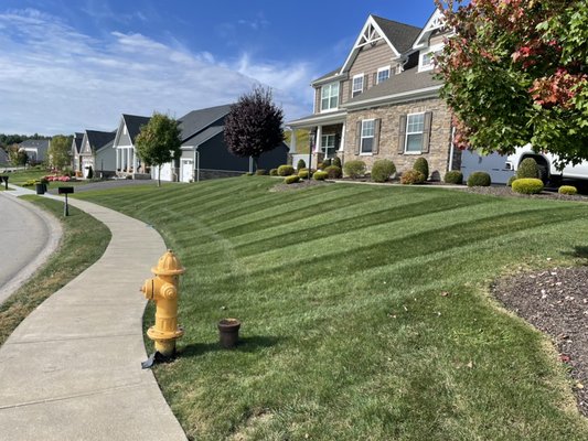 Lawn Care - We specialize in lawn care, mulching. Snow removal.
Locally owned and operated specializing in lawn care, mulching, snow removal and fertilization. Call +17249145931 for your free Estimate! Lawn Care - We specialize in lawn care, mulching. Snow removal.
Locally owned and operated specializing in lawn care, mulching, snow removal and fertilization. Call +17249145931 for your free Estimate!