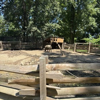 Henricus Historical Park - Landmarks & Historical Buildings Near Me - Chester, Virginia