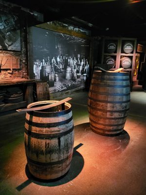 Midleton Distillery Experience by null