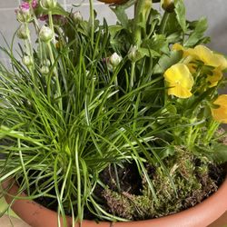 Bernemer Blumenlädchen