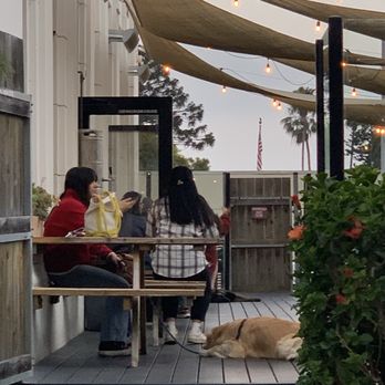 Fluid State Beer Garden - Side patio - Bars Near Me - Ventura, California Fluid State Beer Garden - Side patio - Bars Near Me - Ventura, California