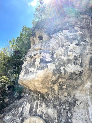 Cara del Indio by null