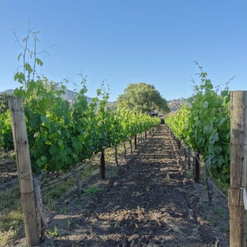 Chateau de Vie - in the vineyards - Bed & Breakfast Near Me - Calistoga, California