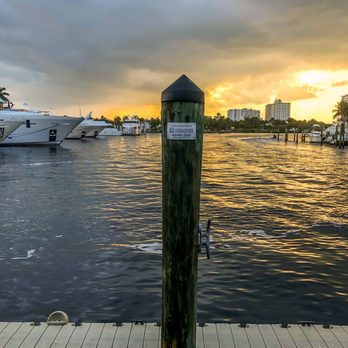 Coconuts - My View - Seafood Near Me - Fort Lauderdale, Florida Coconuts - My View - Seafood Near Me - Fort Lauderdale, Florida