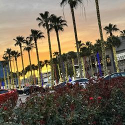 Good night, Highland Village