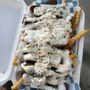 Photo of Apollo’s Gyros