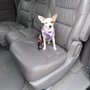 Photo of Pets Plus Pet Lovers