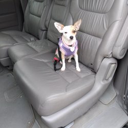 Pets Plus Pet Lovers
