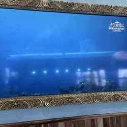Atlantis Submarines Cozumel - Video in waiting area before our submarine ride