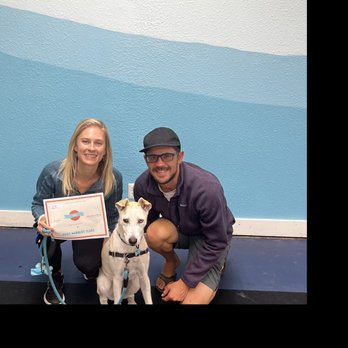 Paws4Training - Middle School Graduate! - Pet Training Near Me - Seattle, Washington