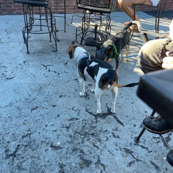 Fire & Ice Bar & Grill - Dog friendly - Bars Near Me - Lake George, New York