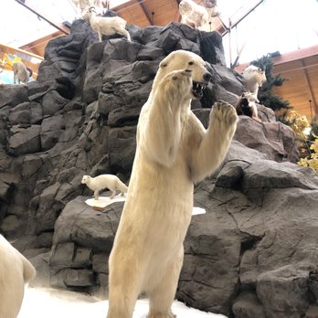Cabela's - Outdoor Gear Near Me - Charleston, West Virginia Cabela's - Outdoor Gear Near Me - Charleston, West Virginia