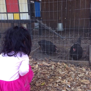 Garden Cafe - "Hi, chickens!" - Breakfast & Brunch Near Me - Dallas, Texas Garden Cafe - "Hi, chickens!" - Breakfast & Brunch Near Me - Dallas, Texas