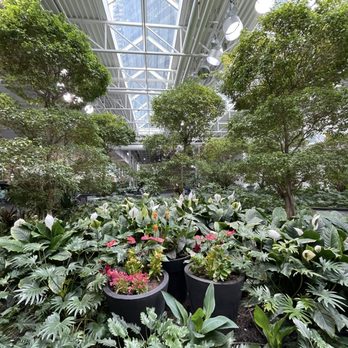 Devonian Gardens - Parks Near Me - Calgary, Alberta