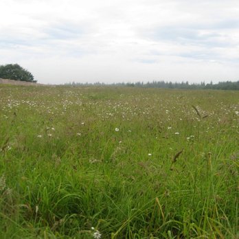 Culloden Battlefield Visitor Centre - Culloden Battlefield - Visitor Centers Near Me - Highland, HLD