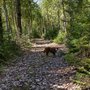 Photo of Cheboygan State Park