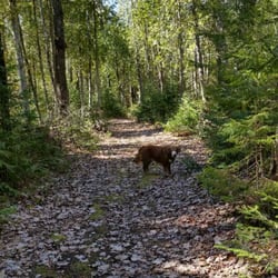 Cheboygan State Park