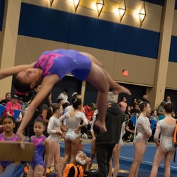 Elite Gymnastics Fitness Academy