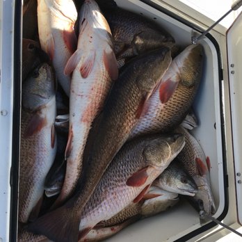 Big Dog Fishing Charters - Fishing Near Me - Barataria, Louisiana Big Dog Fishing Charters - Fishing Near Me - Barataria, Louisiana