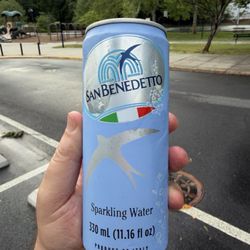 Lampo2GO - IX ART PARK - San Benedetto Canned Sparkling Water