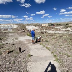 Dynamic Journey Tours - Painted Desert