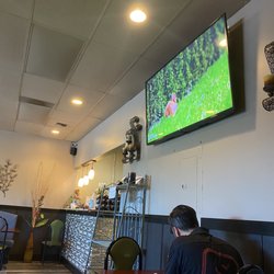 Pho 175 - Cute nature and animal videos on the tv