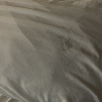 Best Western Plus Buda Austin Inn & Suites - Black makeup or dirt on pillow. - Hotels Near Me - Buda, Texas Best Western Plus Buda Austin Inn & Suites - Black makeup or dirt on pillow. - Hotels Near Me - Buda, Texas
