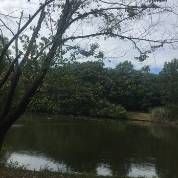 The Riverway - Parks Near Me
