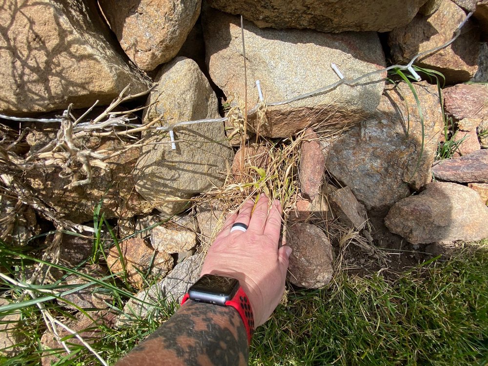 Lawn Doctor - tree service in Spokane Valley, WA