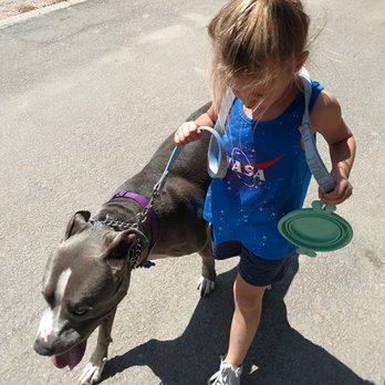 Coaching Canines - Pet Training Near Me Coaching Canines - Pet Training Near Me