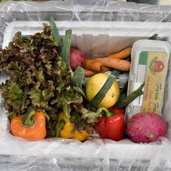 Irv & Shelly's Fresh Picks - Sample Order in reusable Fresh Picks bin