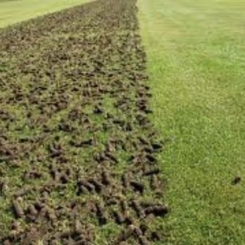 Mighty Oak Landscaping - Snow Removal Near Me Mighty Oak Landscaping - Snow Removal Near Me