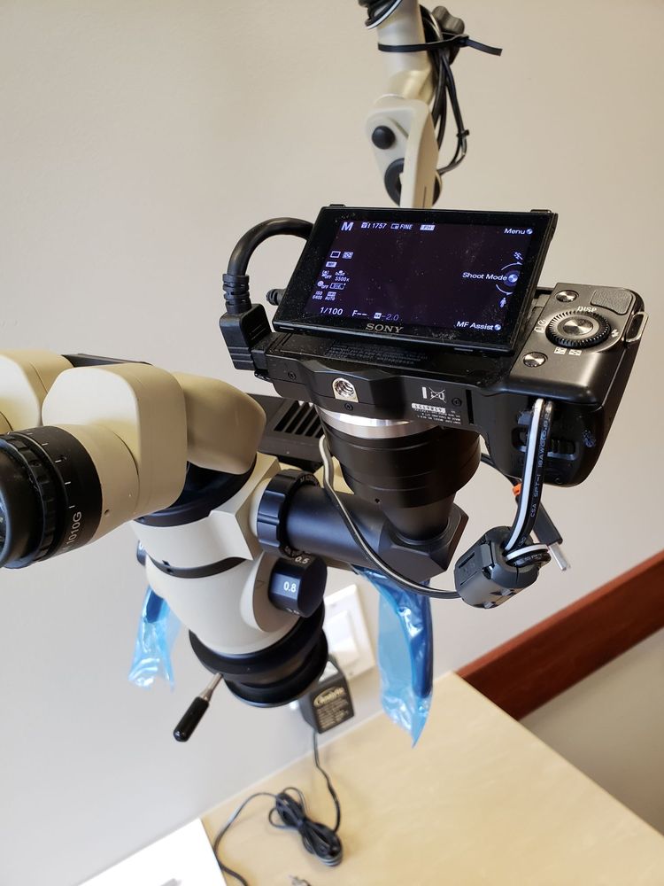 BEST ENDODONTICS OF GLENVIEW Updated August 2024 37 Reviews 1775